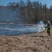 Požár lesní, polní porost, tráva 17.03.2012