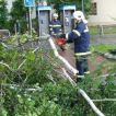 Spadlý strom 13.07.2008