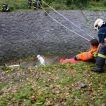 Fotografie ze soutěže Rallye Albrechtice 2014 27.09.2014