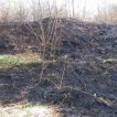 Požár lesní-polní porosti Vrablovec 04.04.2011