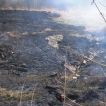 Požár lesní-polní porosti Vrablovec 04.04.2011